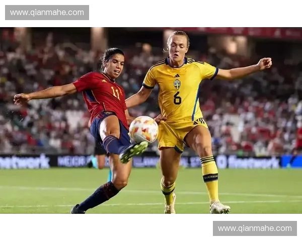 西班牙世界杯夺冠之路与精彩瞬间全解析